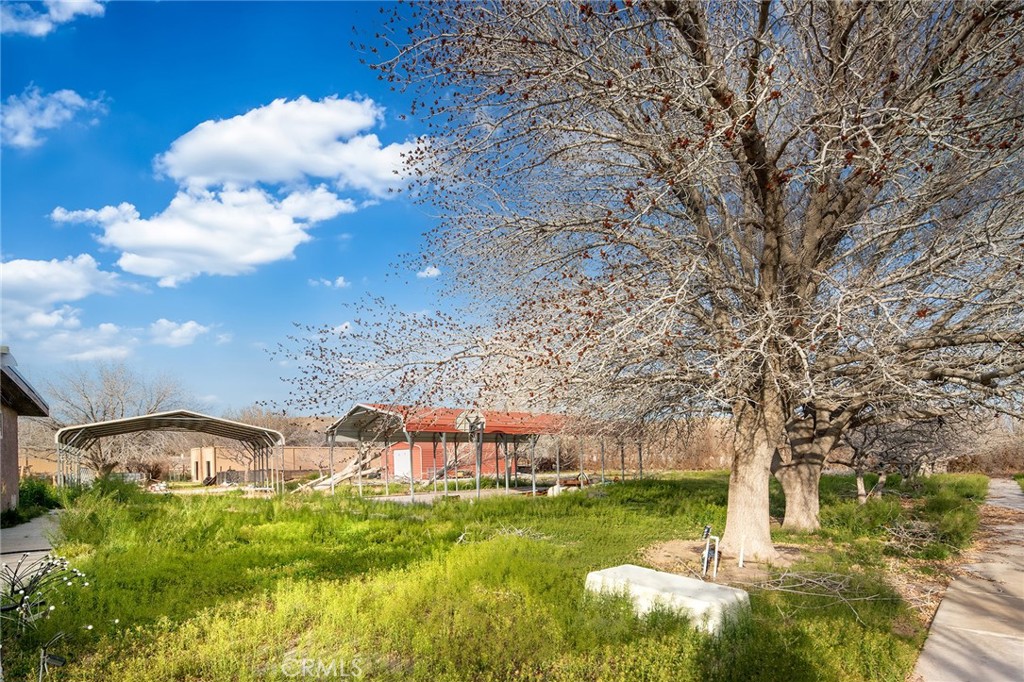 31516 Clay River Road Property Photo 61