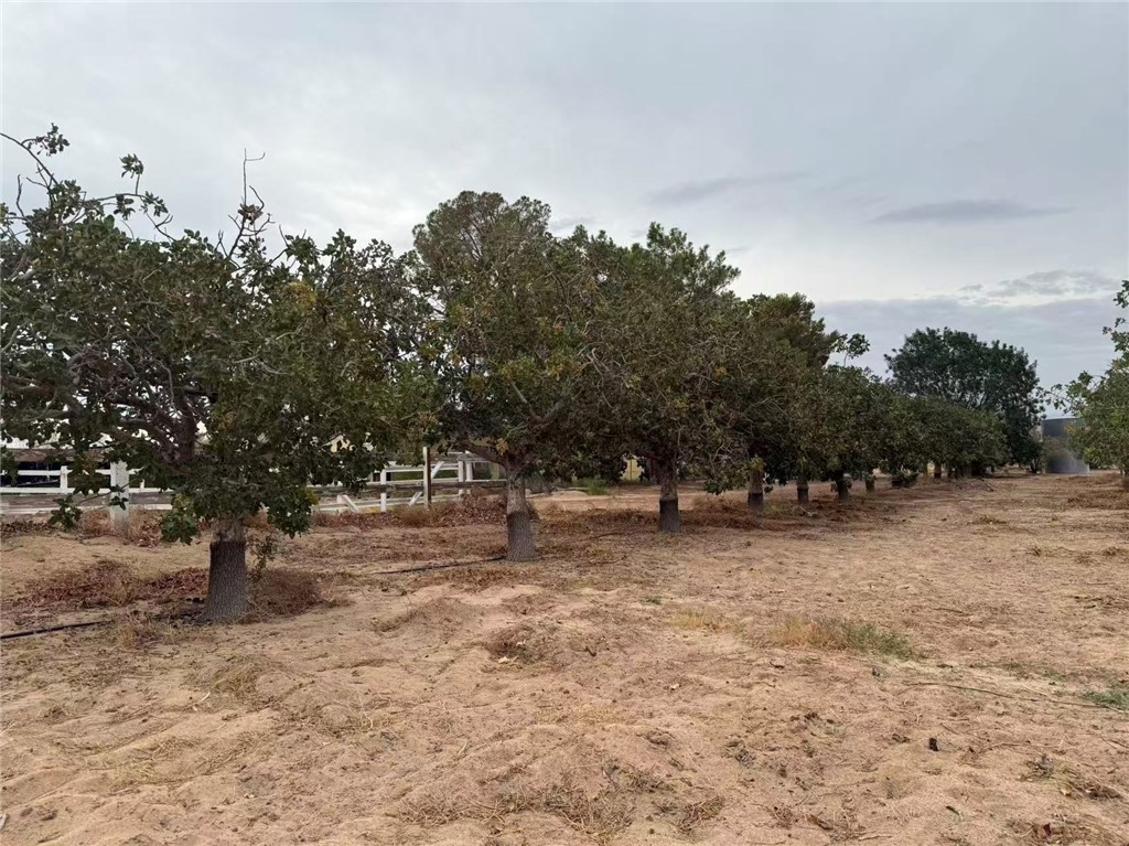 33979 Fremont Rd Property Photo 10
