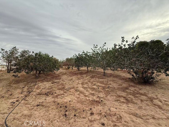 33979 Fremont Rd Property Photo 16