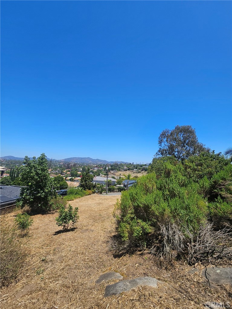 0 Wallace Lane Property Photo 2