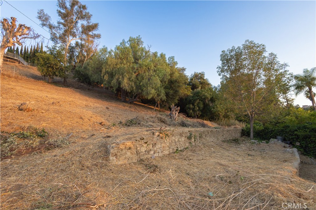 948 W Newmark Property Photo 12
