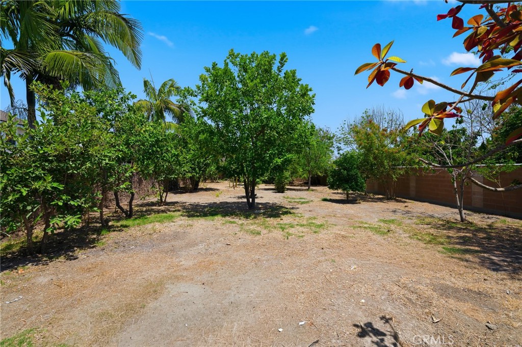 10401 Park Street Property Photo 60