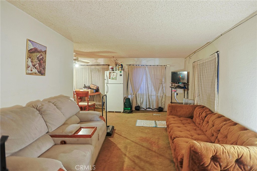 24210 E East Fork Road 38 Property Photo 4