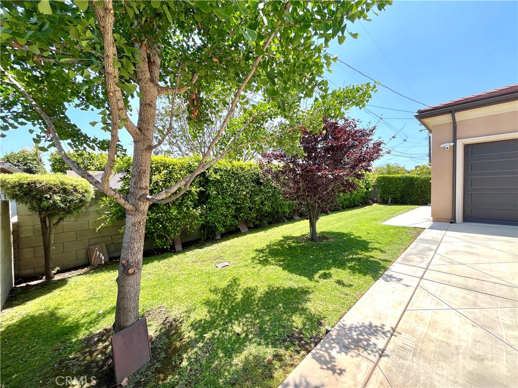 9538 Blackley Street Property Photo 28