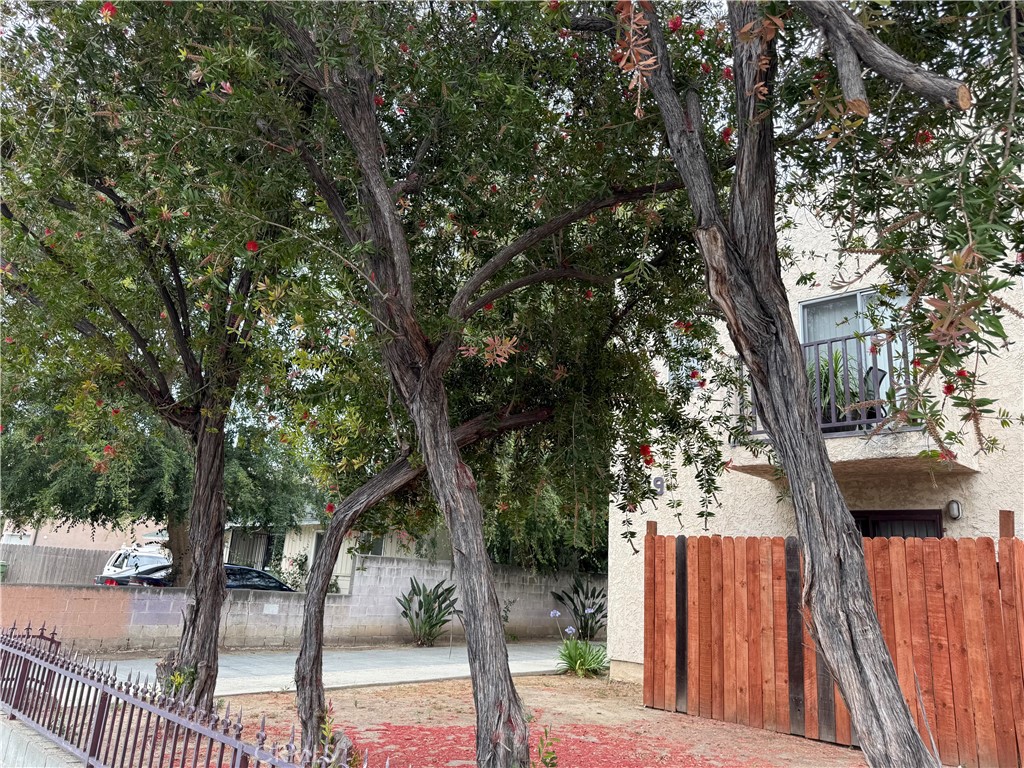 7419 Tampa Property Photo 5