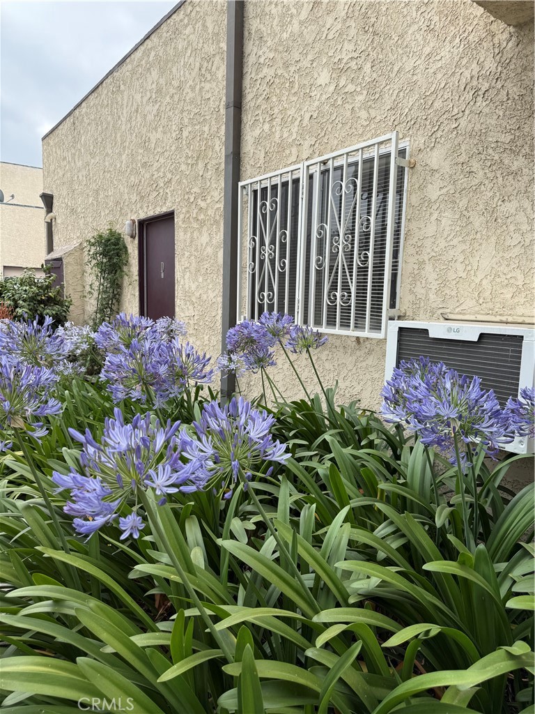 7419 Tampa Property Photo 10