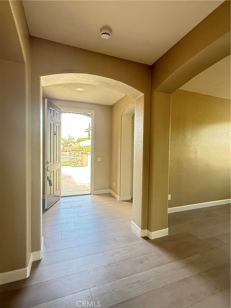 3005 Cat Tail Court Property Photo 21