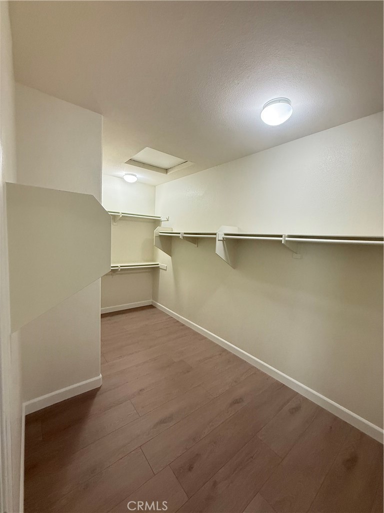 3005 Cat Tail Court Property Photo 39