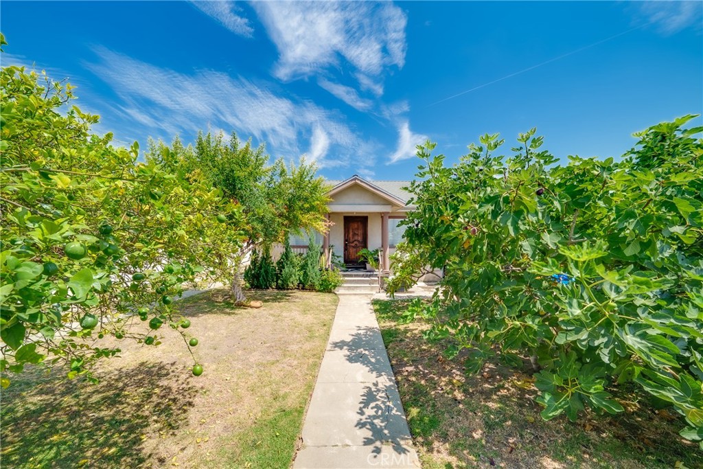 3733 Blanche Street Property Photo 6