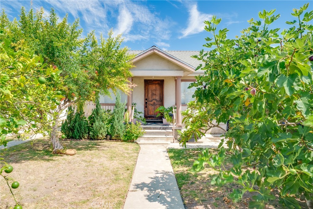 3733 Blanche Street Property Photo 7