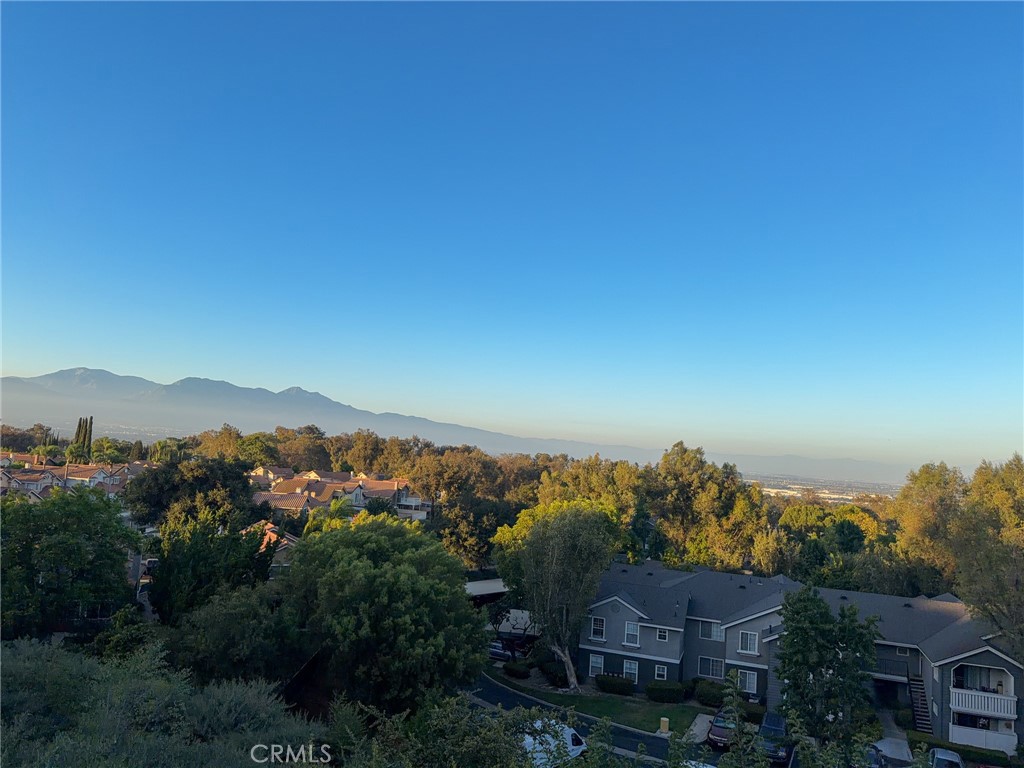 15657 Ladera Vista Property Photo 53