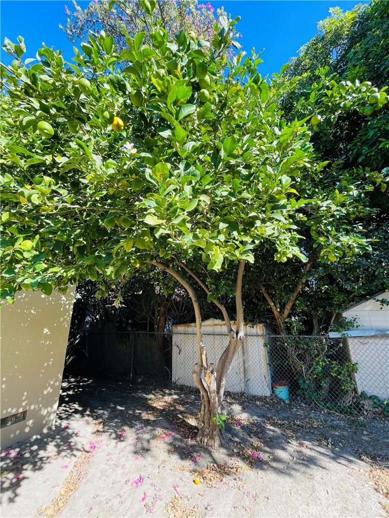 1852 Grier Property Photo 22