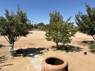 17952 Cherry Street Property Photo 21