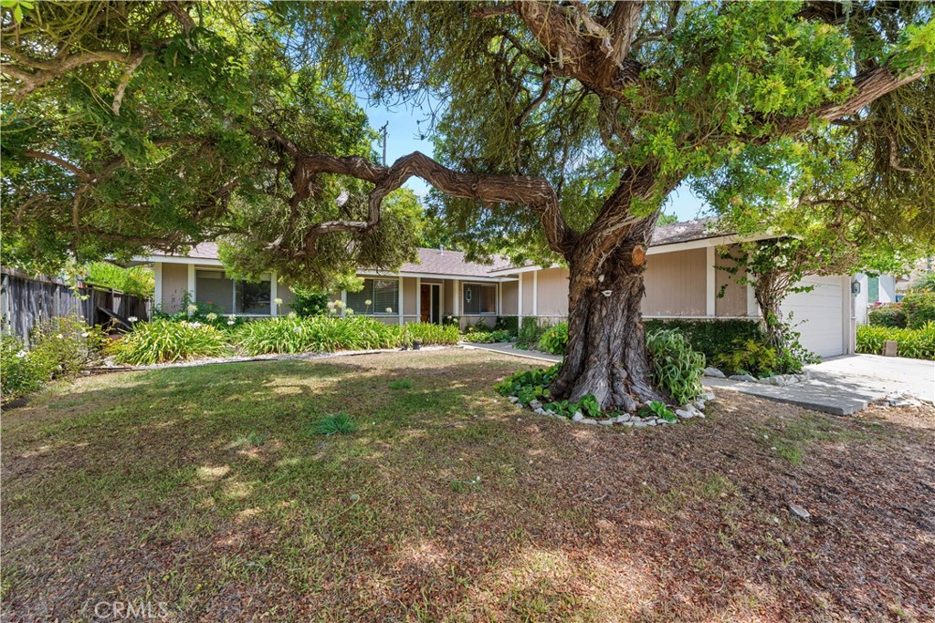 28042 Santona Property Photo 3