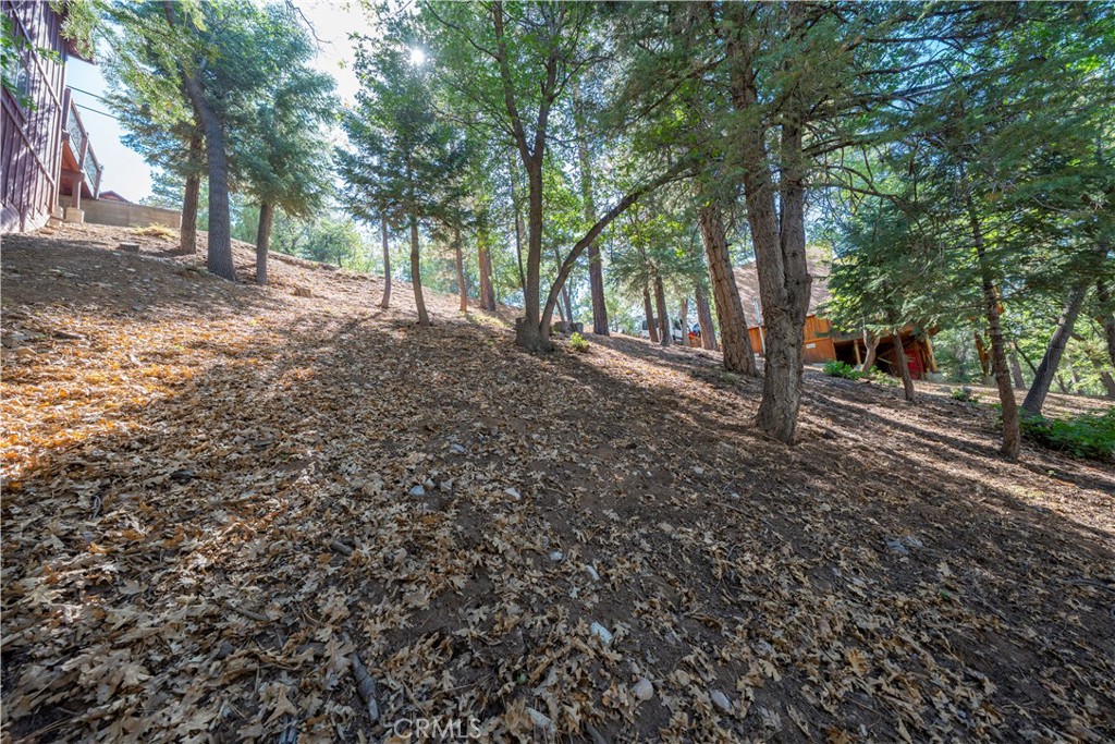 43326 Shasta Road Property Photo 20