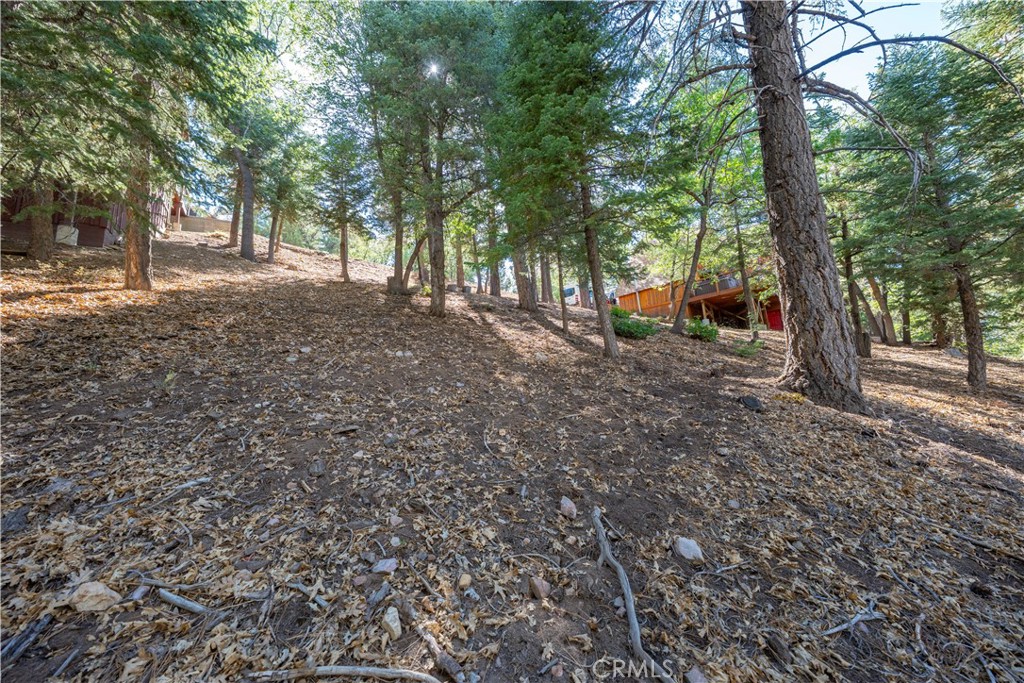 43326 Shasta Road Property Photo 21