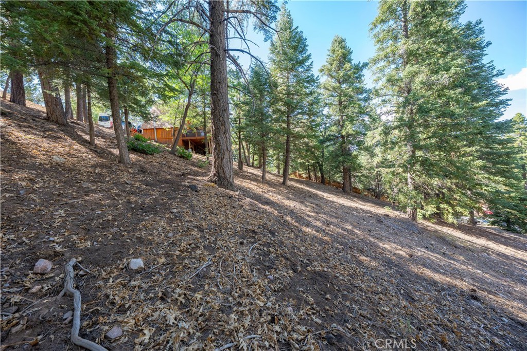 43326 Shasta Road Property Photo 22