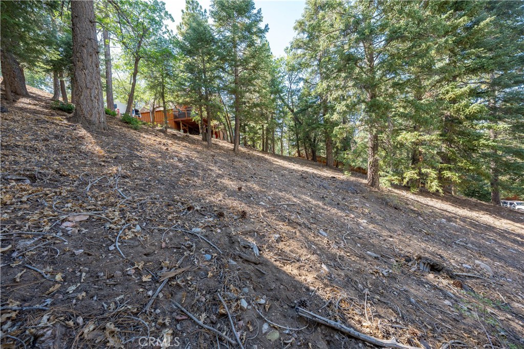 43326 Shasta Road Property Photo 23