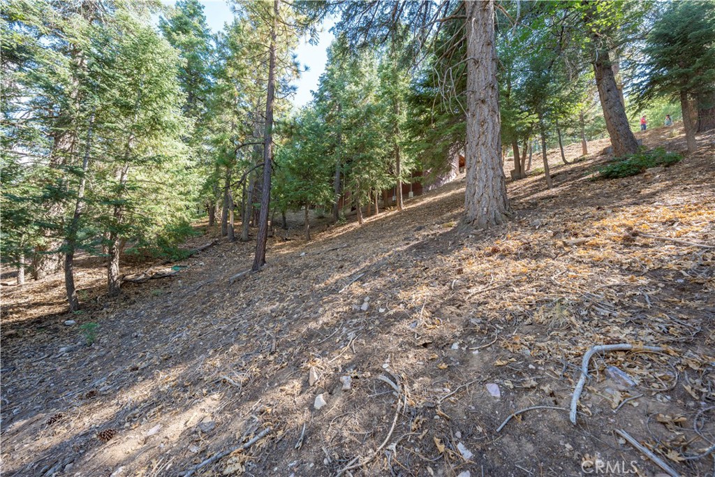 43326 Shasta Road Property Photo 24