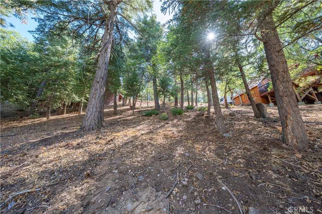 43326 Shasta Road Property Photo 25