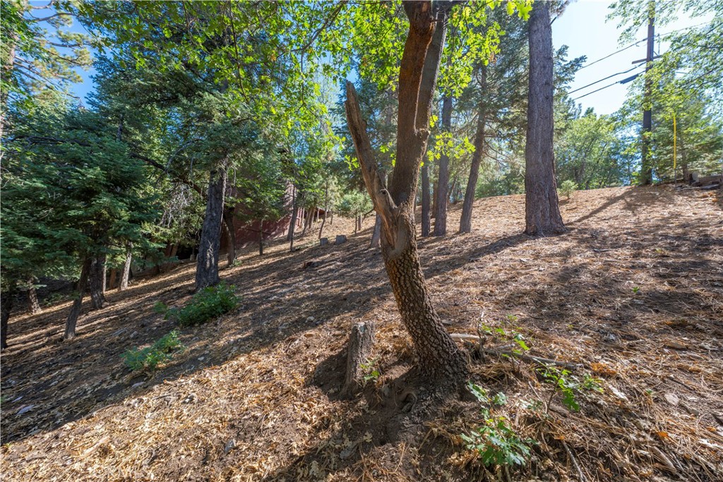 43326 Shasta Road Property Photo 26