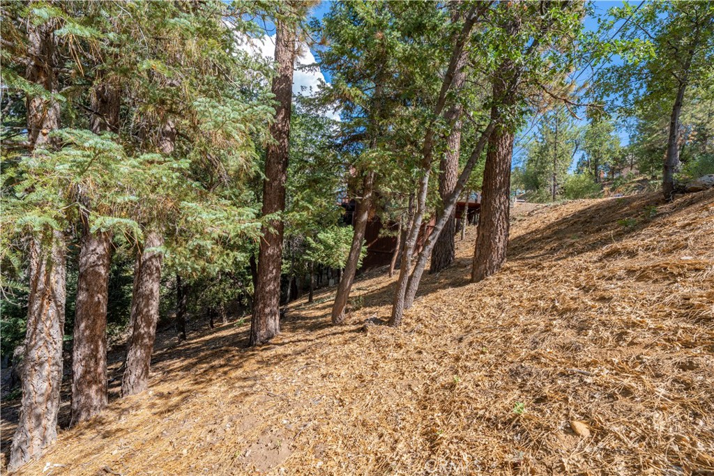 43326 Shasta Road Property Photo 27