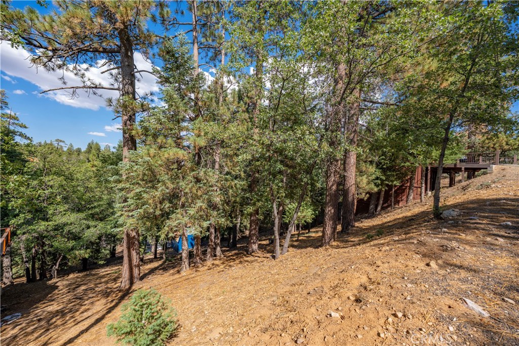 43326 Shasta Road Property Photo 28
