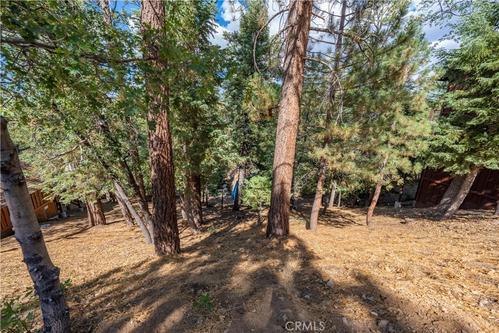 43326 Shasta Road Property Photo 30