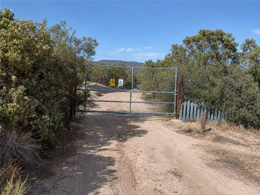 37541 Hill Street Property Photo 15