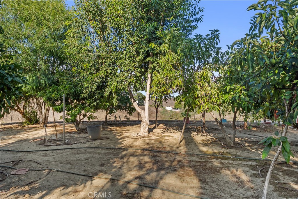 2145 Indian Creek Property Photo 47