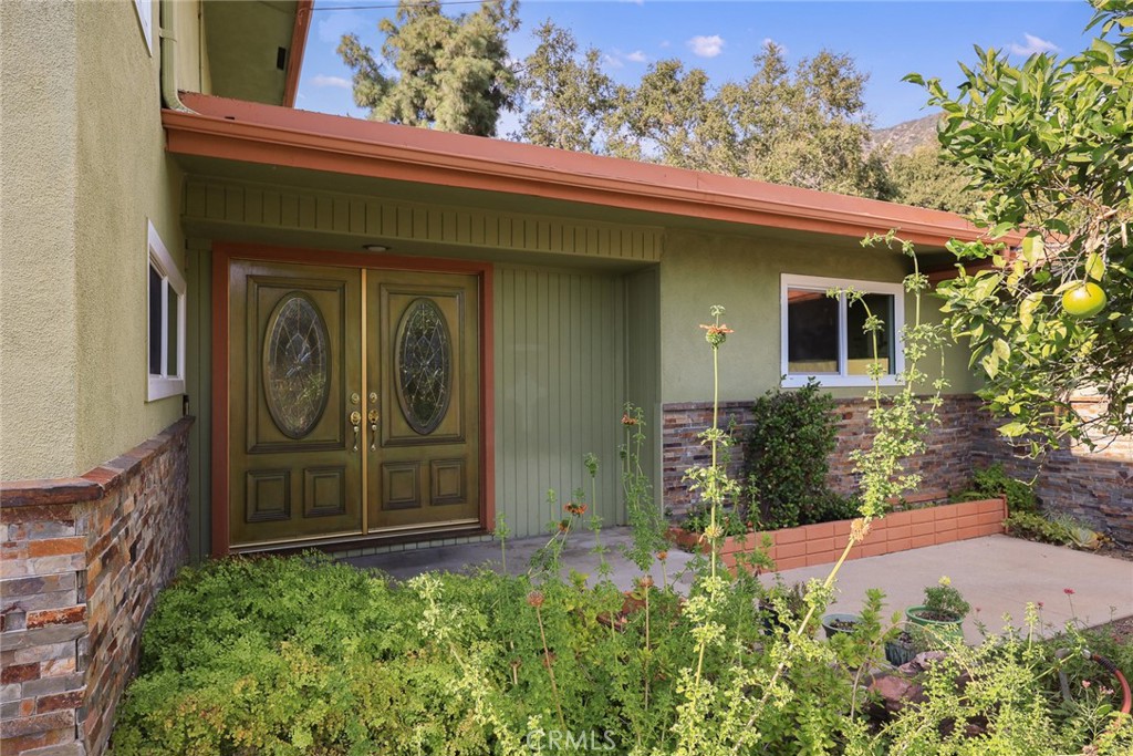 281 Spinks Canyon Property Photo 34