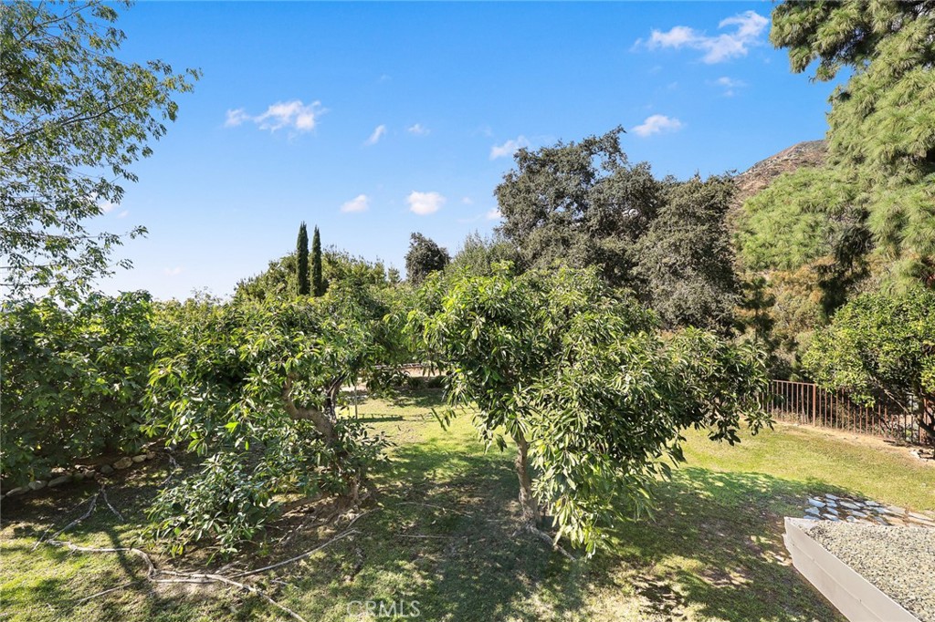 281 Spinks Canyon Property Photo 40