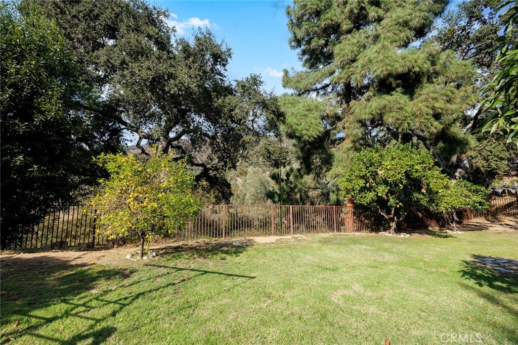 281 Spinks Canyon Property Photo 44