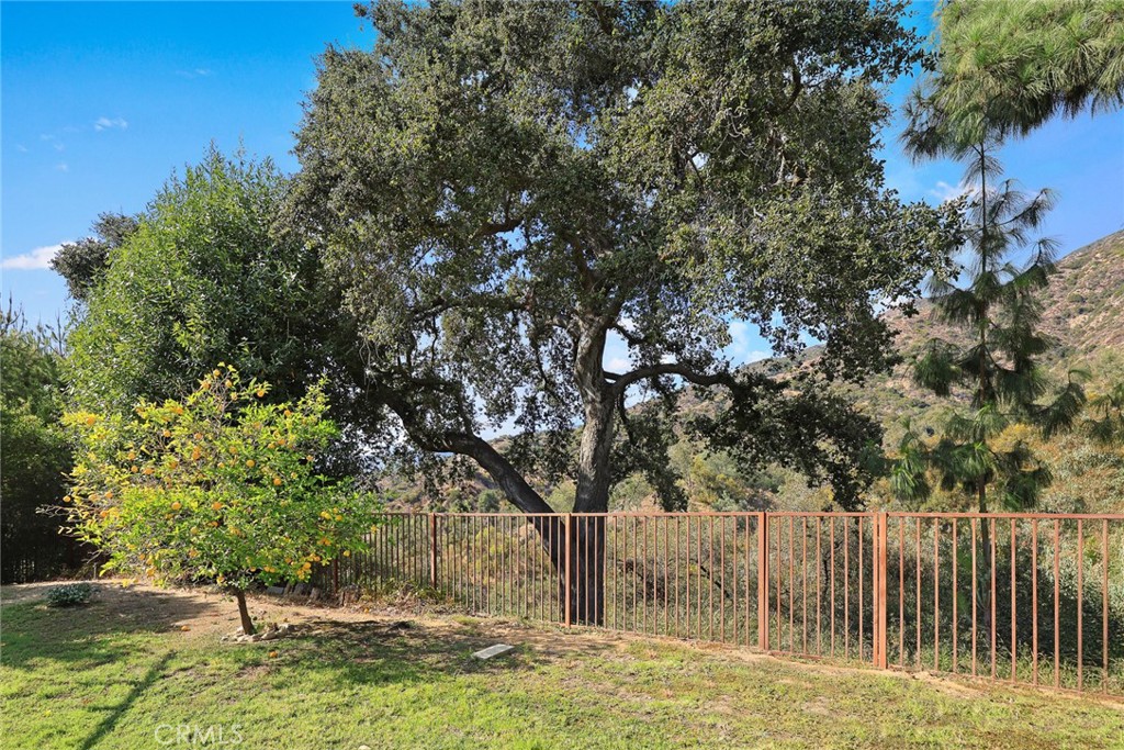 281 Spinks Canyon Property Photo 45