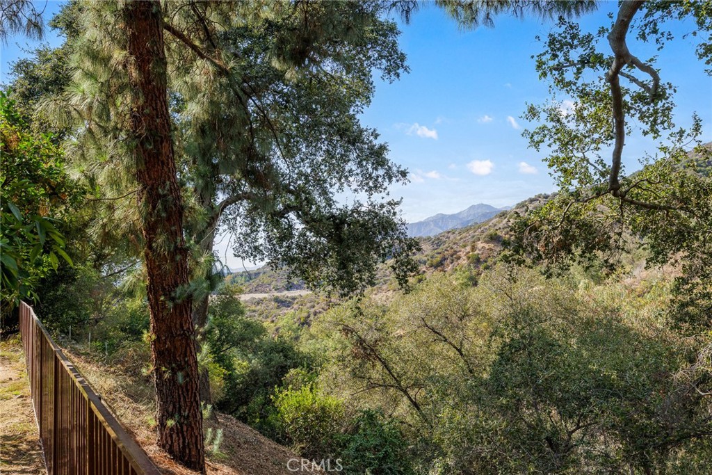 281 Spinks Canyon Property Photo 46