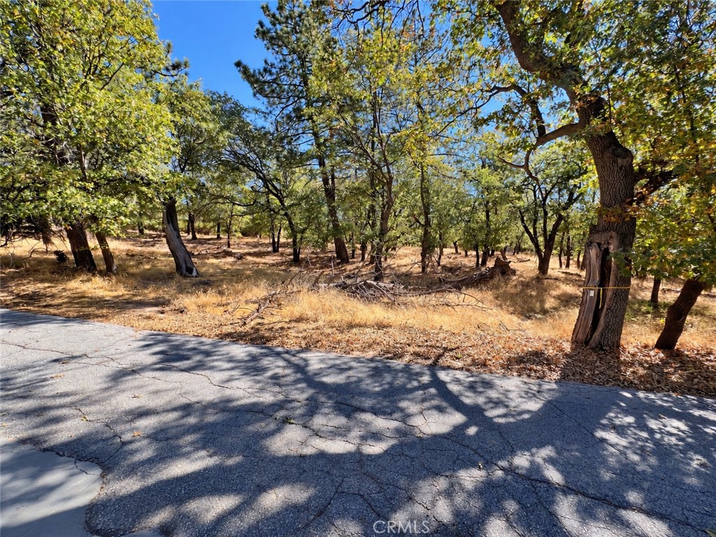 975 Hospital Road Property Photo 66
