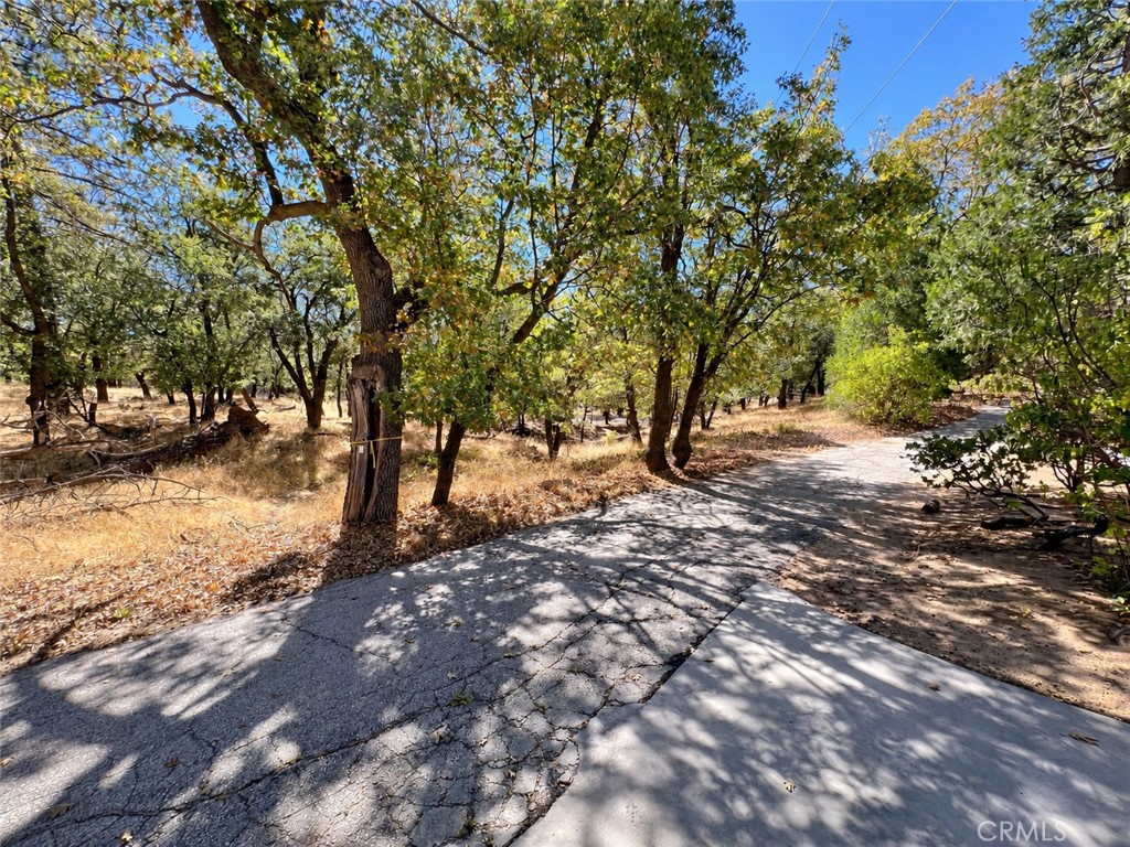 975 Hospital Road Property Photo 67