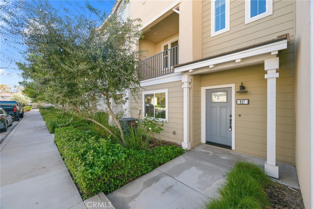 817 Pommelo Property Photo 4