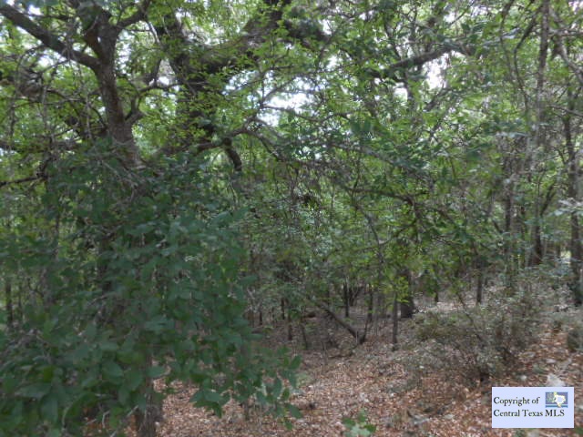 00 Camaro Way Property Photo 1