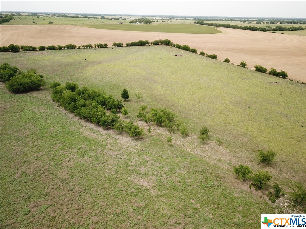 1410 County Road 248 Property Photo 5