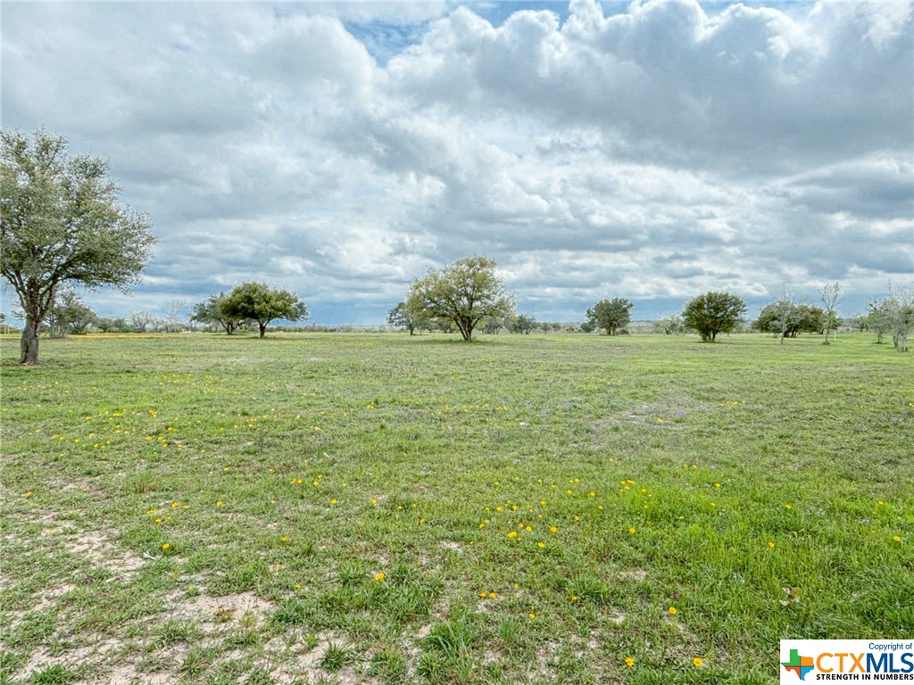 12211 Fm 531 Tract 1 Property Photo 1