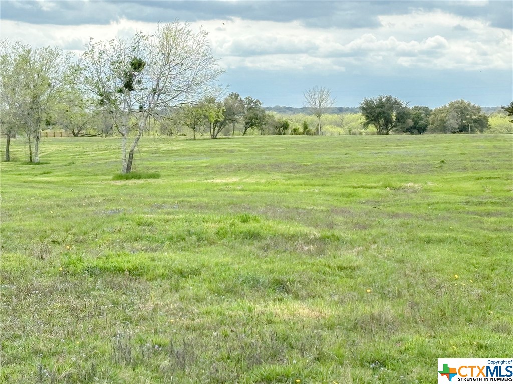 12211 Fm 531 Tract 1 Property Photo 4