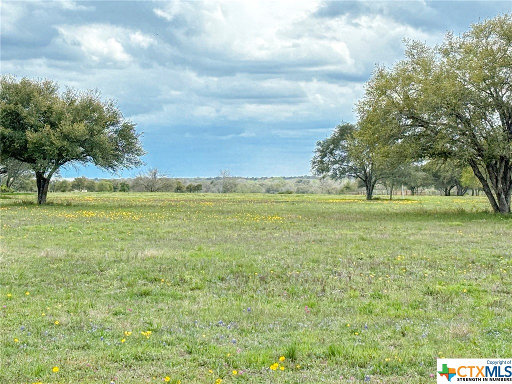 12211 Fm 531 Tract 1 Property Photo 5