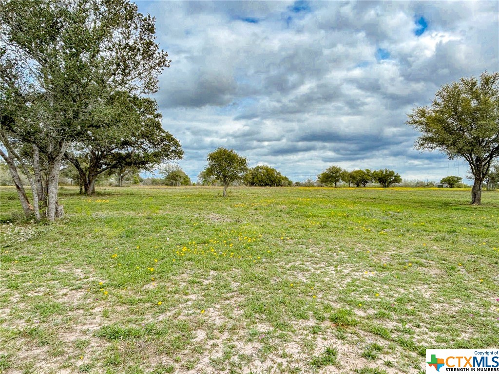 12211 Fm 531 Tract 1 Property Photo 8