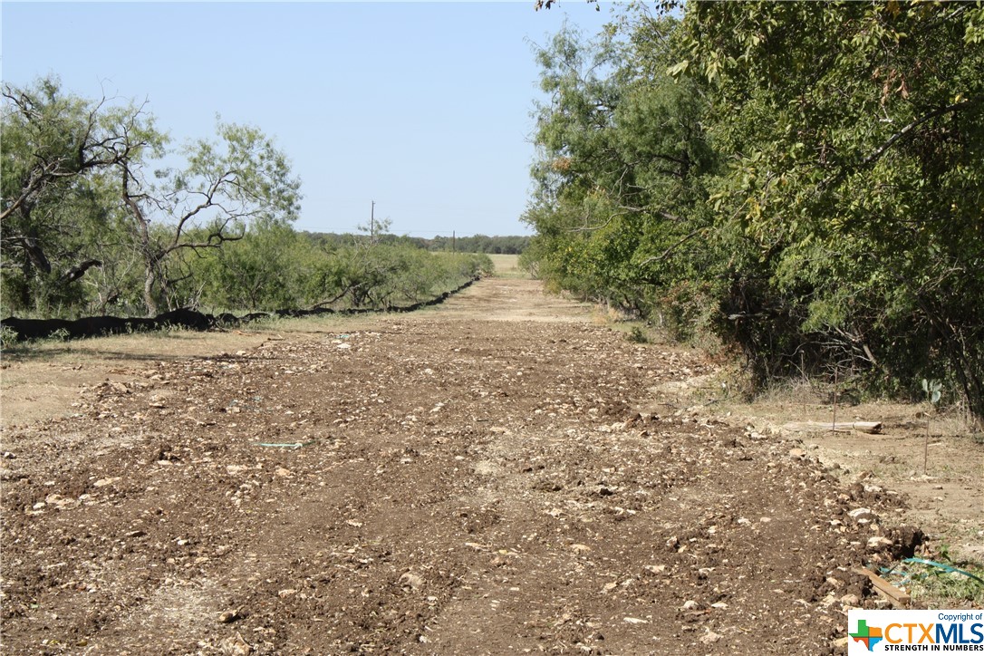 250 Cr 216 Property Photo 10