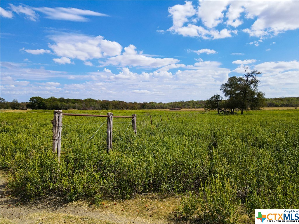 Tbd County Road 273 #2 Property Photo 3
