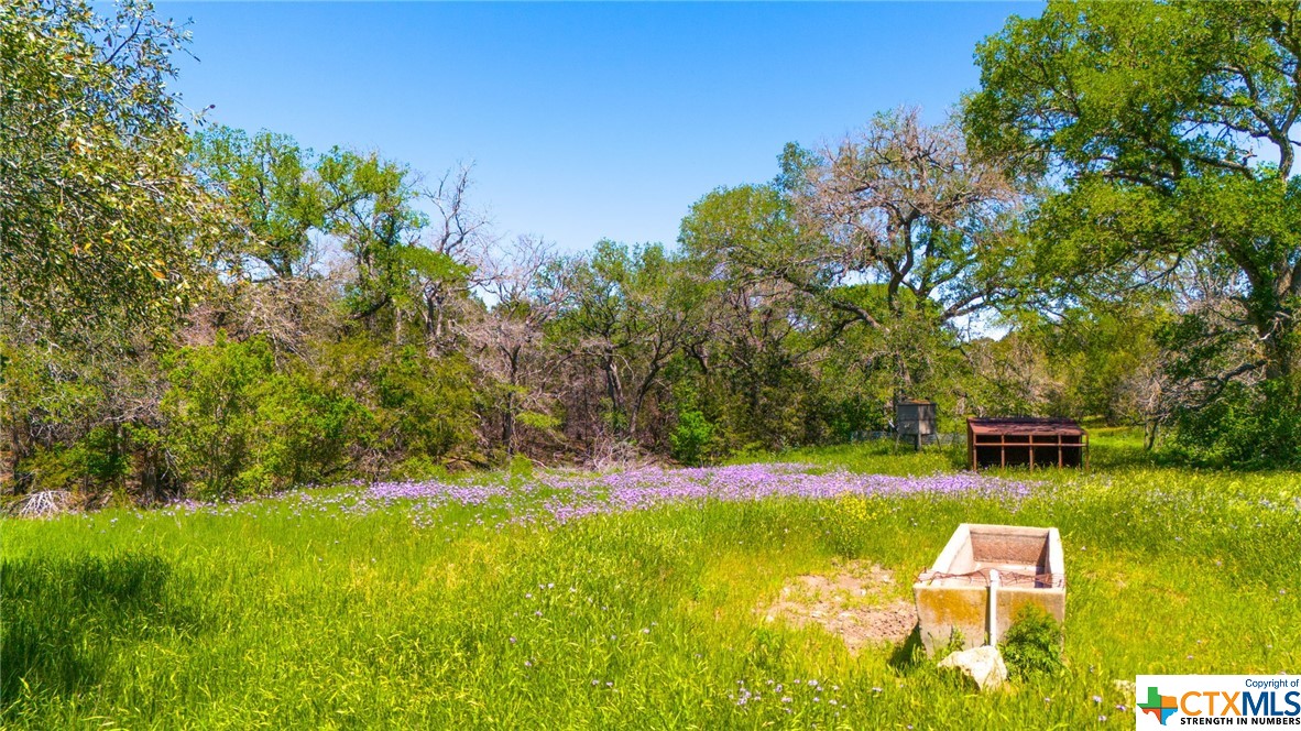0 Cr 223 Property Photo 10