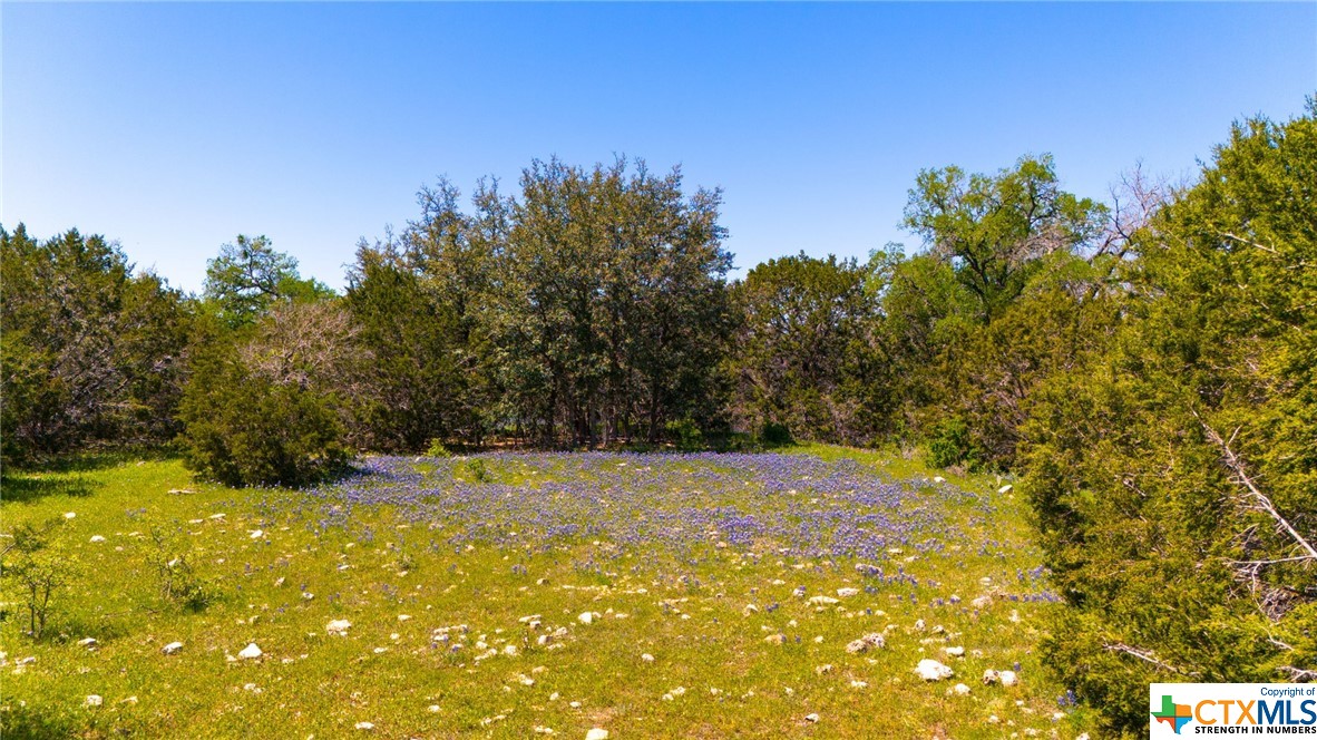 0 Cr 223 Property Photo 11