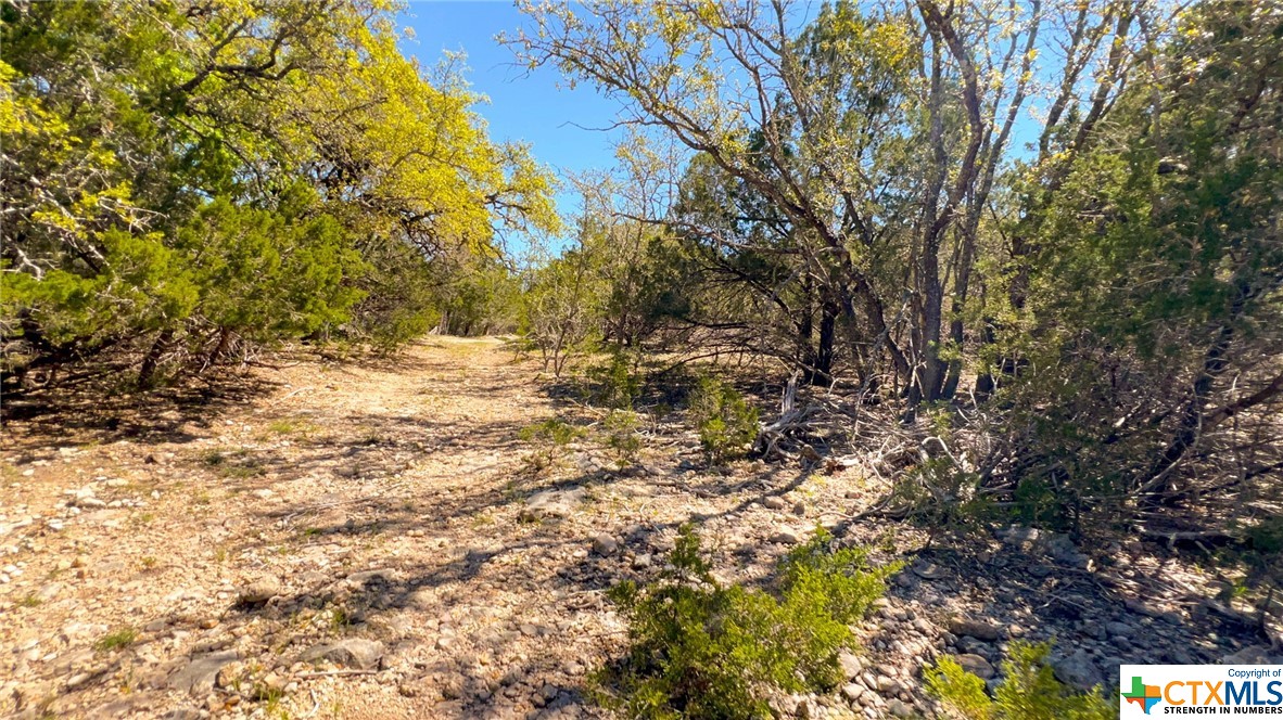 0 Cr 223 Property Photo 22