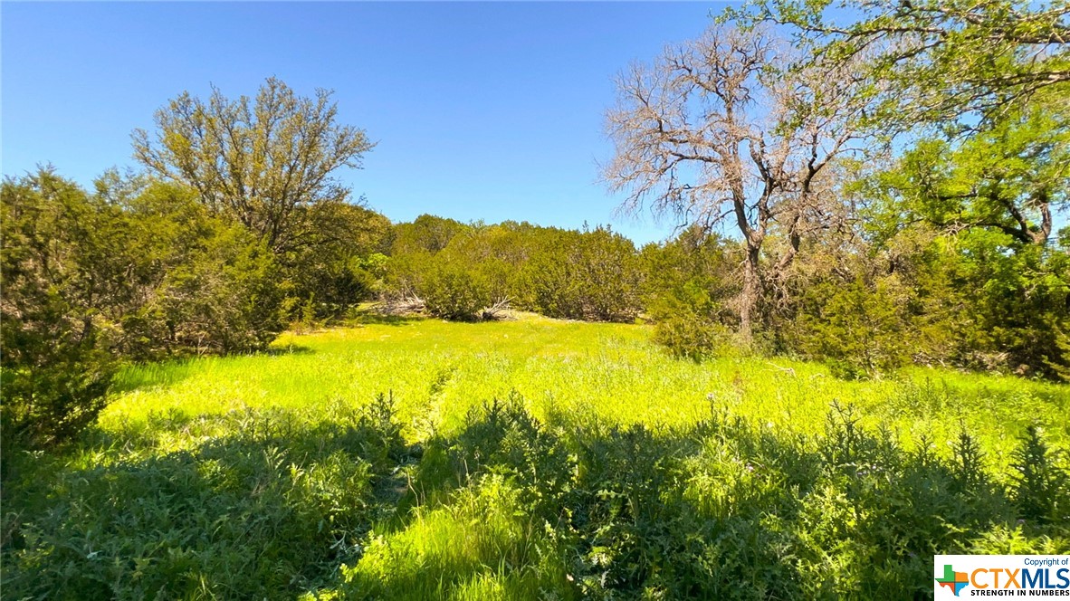 0 Cr 223 Property Photo 34